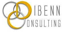 Logo Dibenn Consulting. Dibenn Consulting une entreprise spécialisée dans l'analytics.